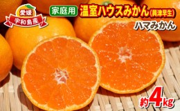 【ふるさと納税】愛媛 みかん 興津 早生 4kg 家庭用 ハウス栽培 ハマみかん 温州みかん  果物 フルーツ 柑橘 蜜柑 農家直送 産地直送 数