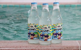 【ふるさと納税】戦う銭湯サイダー　塩レモン味　340ml　24本