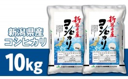 【ふるさと納税】23-K101R5新潟県中条産コシヒカリ10kg（5kg×2袋）