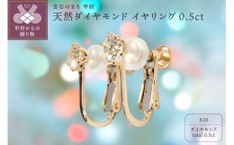 【ふるさと納税】天然ダイヤモンド合計0.5ct 18金 イヤリング [1460042]