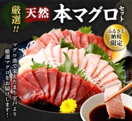 【ふるさと納税】厳選 天然 本マグロ 中トロ 赤身 セット６００ｇ 以上 まぐろ 鮪 100% 冷凍 刺身 海鮮 丼 室戸