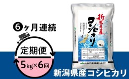 【ふるさと納税】23-K56R5【6ヶ月連続お届け】新潟県中条産コシヒカリ5kg