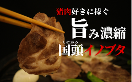 【ふるさと納税】旨み凝縮！「国頭イノブタ」焼肉スライス 300g【希少/ふるさと納税限定】