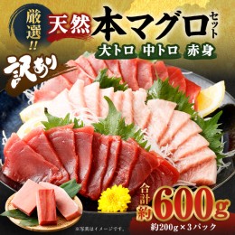 【ふるさと納税】厳選 天然 本マグロ セット【 大トロ 中トロ 赤身 】６００ｇ以上 本まぐろ 100% 冷凍 刺身 海鮮 丼 さく 柵 ブロック