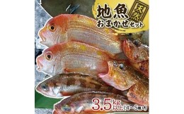 【ふるさと納税】518　地魚おまかせセット　4〜5種類入り計3、5kg以上