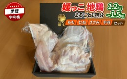 【ふるさと納税】国産地鶏 地鶏 媛っこ地鶏  1羽分 1.2〜1.5kg 寒山鳥聲 鶏舎 鳥 tori 鳥肉 鶏肉 鶏 とり肉 地鶏り お肉 肉 niku にく と