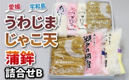 【ふるさと納税】じゃこ天 蒲鉾 詰め合わせ Bセット 中村かまぼこ店 揚巻 上板蒲鉾 削り蒲鉾 紅白 すり身 練り物 冷蔵 惣菜 フライ だし 