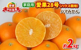 【ふるさと納税】愛果28号 2kg 家庭用 ハウス栽培 ハマみかん 果物 フルーツ 柑橘 みかん 高級 ブランド ゼリー プルプル 甘い 限定 品種