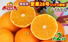 【ふるさと納税】贈答用 愛果28号 2kg ハウス栽培 ハマみかん 果物 フルーツ 柑橘 みかん 高級 ブランド ゼリー プルプル 甘い 限定 品種