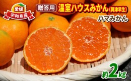 【ふるさと納税】愛媛 みかん 興津 早生 2kg 贈答用 S~Mサイズ ハウス栽培 ハマみかん 温州みかん ギフト 果物 フルーツ 柑橘 蜜柑 農家