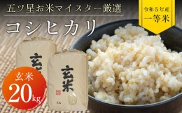 【ふるさと納税】令和5年 千葉県産「コシヒカリ」20kg（玄米）