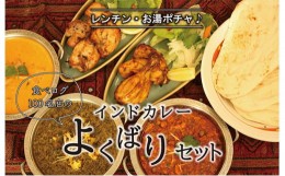 【ふるさと納税】印度料理シタール インドカレーよくばりセット【カレー 加工食品 レトルト食品】[?5346-0056]