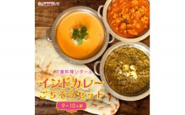 【ふるさと納税】印度料理シタール インドカレー大ごちそうセット【カレー 加工食品 レトルト食品】[?5346-0058]