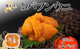 【ふるさと納税】[?5525-0662]北海道 噴火湾産 塩水 バフンウニ 100g 2パック 計200g うに ウニ 雲丹 海鮮 海の幸 魚介類 ウニ丼 お寿司 