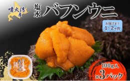 【ふるさと納税】[?5525-0663]北海道 噴火湾産 塩水 バフンウニ 100g 3パック 計300g うに ウニ 雲丹 海鮮 海の幸 魚介類 ウニ丼 お寿司 