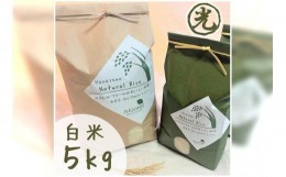 【ふるさと納税】【白米 5kg】農薬化学肥料不使用・天日干し自然乾燥のお米