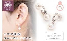 【ふるさと納税】K18WG　アコヤ真珠　ダイヤモンド　ピアス(#11：03052719)