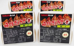 【ふるさと納税】YAMATOぎょうざ　柚子　12個入り4箱【 加工品 惣菜 冷凍 中華 点心 ギョーザ 餃子 ゆず 柚子 あっさり 夕飯 おかず つま