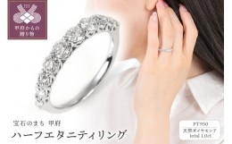 【ふるさと納税】【サイズ：8.5号】1.0CT ハーフエタニティリング　R3533DI-P2