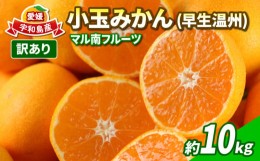 【ふるさと納税】訳あり 小玉 みかん 早生温州 10kg マル南フルーツ 小玉みかん 果物 くだもの フルーツ 柑橘 早生 温州 蜜柑 温州みかん