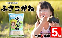 【ふるさと納税】令和5年 千葉富津産「ふさこがね」5kg精米