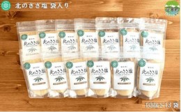 【ふるさと納税】北のささ塩　100g×13袋