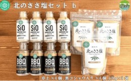 【ふるさと納税】北のささ塩セットｂ（100g×3袋、卓上×4個、黒コショウ入り×4個）