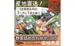 【ふるさと納税】【定期便全4回】3ヶ月に1度お届け！岩沼みんなの家の「みんなの直売！野菜」セット詰め合わせ隔月4回 [?5704-0640]