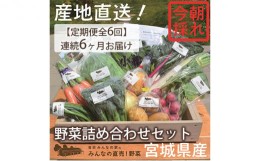 【ふるさと納税】【定期便全6回】連続6ヶ月お届け！岩沼みんなの家の「みんなの直売！野菜」セット詰め合わせ [?5704-0641]