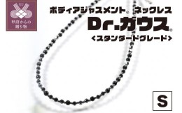 【ふるさと納税】ボディアジャストメントネックレス「Ｄｒ．ガウス」スタンダードグレード　Ｓサイズ