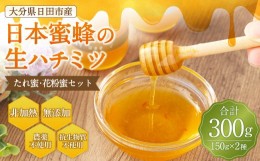 【ふるさと納税】Ｄ−１３０ 日本蜜蜂 の 生ハチミツ たれ蜜・花粉蜜 計300g 蜂蜜 はちみつ ハニーディッパー付き
