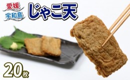 【ふるさと納税】じゃこ天 20枚 詰合せ 森本蒲鉾店 すり身 練り物 冷蔵 惣菜 フライ おでん 具 出汁 だし 10枚ずつ 小分け 郷土料理 酒 