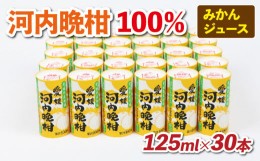 【ふるさと納税】みかん ジュース 河内晩柑 100％ 125ml ×30本 愛工房 みかんジュース 蜜柑 100%ジュース 果汁100% 果汁 飲料 柑橘 小分