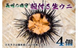 【ふるさと納税】(10043)殻付きウニ  4個 生うに 雲丹  長門市 ムラサキウニ