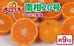 【ふるさと納税】愛媛 みかん 南柑 20号 9kg つばさ農園 温州みかん 温州 蜜柑  果物 フルーツ 柑橘 農家直送 産地直送 数量限定 国産 愛