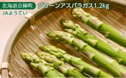 【ふるさと納税】2024年春発送！ 北海道羊蹄山麓 グリーンアスパラ1.2kg［ JAようてい］【 野菜 アスパラガス 料理 北海道 】