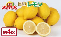 【ふるさと納税】レモン 4kg つばさ農園 防腐剤 ・ ワックス 不使用 青レモン れもん 檸檬 レモン果汁 酸味 高級 果物  ビタミン 健康 フ