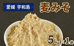 【ふるさと納税】麦味噌 5kg 企業組合津島あぐり工房 麦みそ 味噌 みそ 麦味噌 発酵 発酵調味料 調味料 麦 麹 こうじ 無添加 数量限定 味