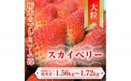 【ふるさと納税】【先行予約】スカイベリー 約390g〜430g×4パック | いちご 栃木 スカイベリー 甘い 糖度 旬 新鮮 フルーツ 果物 アレン