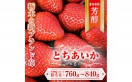 【ふるさと納税】【先行予約】とちあいか 約380g〜420g×2パック | いちご 栃木 とちあいか 甘い 糖度 旬 新鮮 フルーツ 果物 アレンジ 