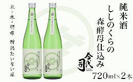 【ふるさと納税】純米酒 ししのくらの森酵母仕込み 720ml×2本【今代司酒造】