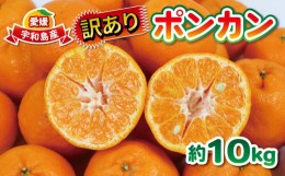 【ふるさと納税】訳あり ポンカン 10kg 大田農園 果物 フルーツ 柑橘 みかん 数量限定 産地直送 農家直送 国産 愛媛 宇和島 B012-121001