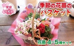 【ふるさと納税】季節の花苗のバスケット ポピー Flowershop Poppy 父の日 花苗 花 苗 寄植え バスケット 生花 誕生日 記念日 プレゼント