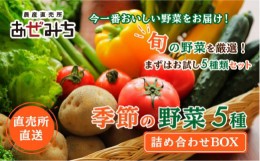 【ふるさと納税】新鮮野菜 5種類詰合せ※着日指定不可