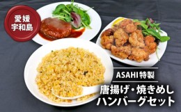 【ふるさと納税】ASAHI特製 唐揚げ 焼きめし ハンバーグセット 株式会社きむら 鶏肉 鶏もも 冷凍 下味 から揚げ からあげ おかず 家計応