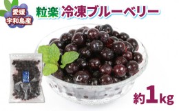 【ふるさと納税】冷凍 ブルーベリー 500g 2袋 計1kg 粒楽 南四国ファーム 冷凍果実 冷凍フルーツ 果物 スムージー ブルーベリージャム 健