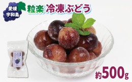 【ふるさと納税】冷凍 ぶどう 100g 5袋 粒楽 南四国ファーム 冷凍フルーツ 冷凍果実 シャーベット 冷凍食品 スムージー ジャム アイス ス