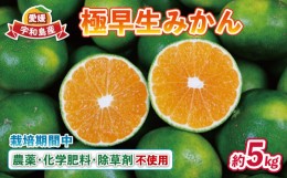 【ふるさと納税】愛媛 みかん 極早生みかん 5kg 栽培期間中 農薬 化学肥料 除草剤  不使用 なかい果樹園 温州みかん 温州 蜜柑 さっぱり 