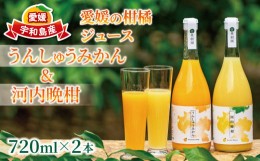 【ふるさと納税】予約受付 愛媛 の 柑橘 ジュース 720ml 2本 セット 壱果樹園 みかん 河内晩柑 温州みかん ストレートジュース 100% 果汁