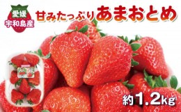 【ふるさと納税】甘み たっぷり  いちご あまおとめ 1.2kg ( 300g × 4パック ) 西田農園 甘い 苺 果物 フルーツ デザート スイーツ スム